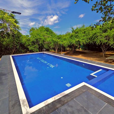 Yala Hotel Lion -Air Conditioned High Luxury Safari Camp Esterno foto
