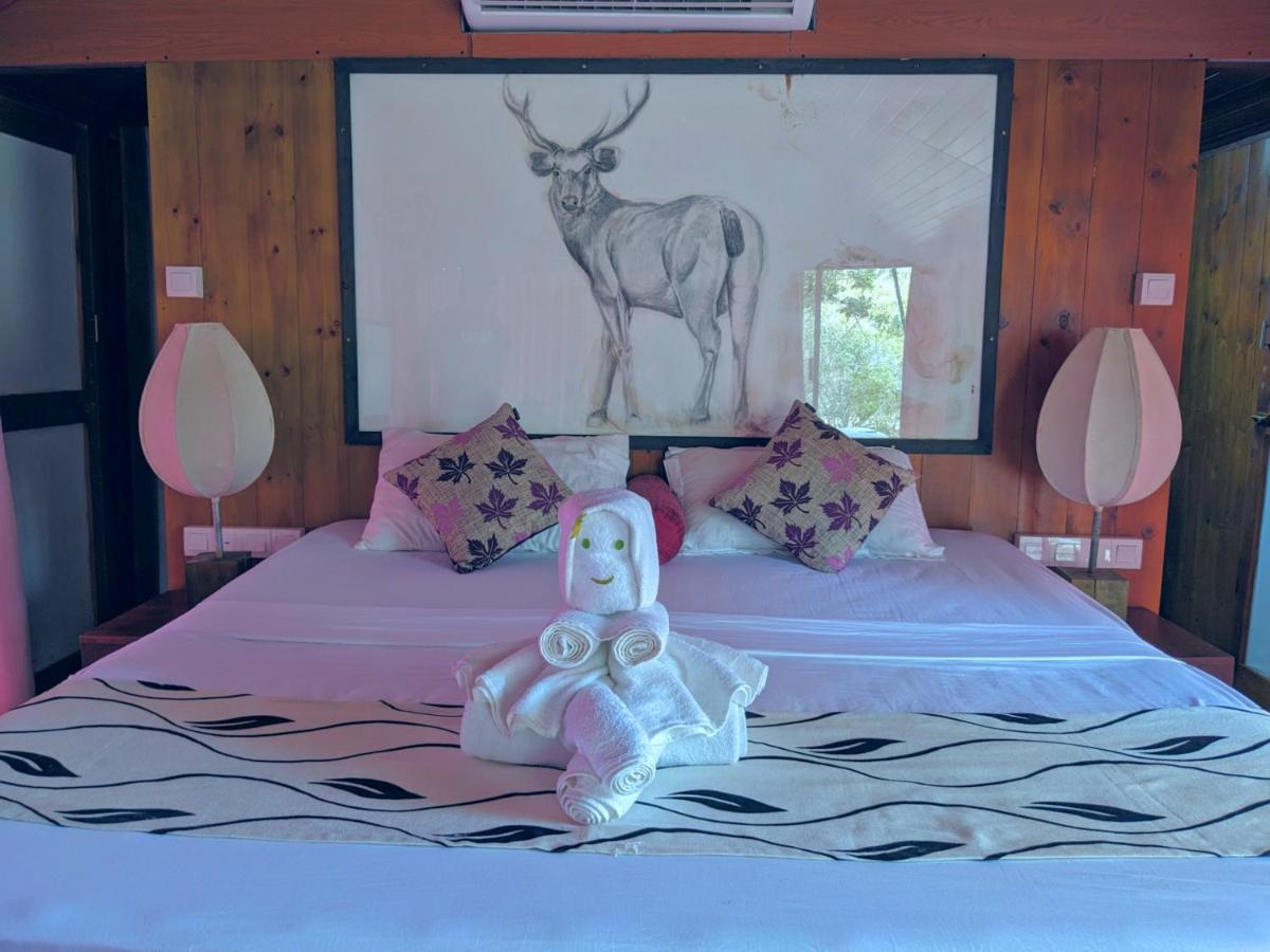 Yala Hotel Lion -Air Conditioned High Luxury Safari Camp Esterno foto