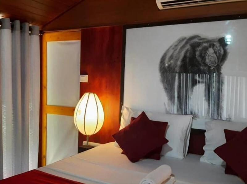 Yala Hotel Lion -Air Conditioned High Luxury Safari Camp Esterno foto