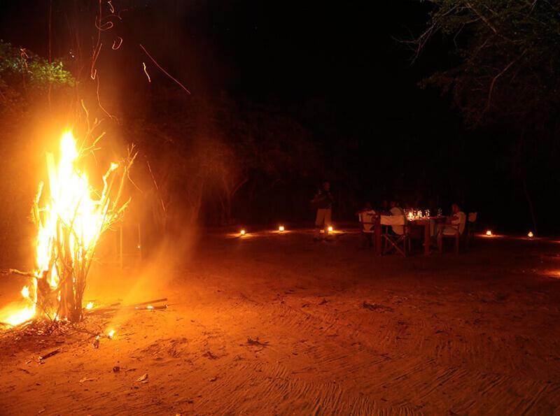 Yala Hotel Lion -Air Conditioned High Luxury Safari Camp Esterno foto