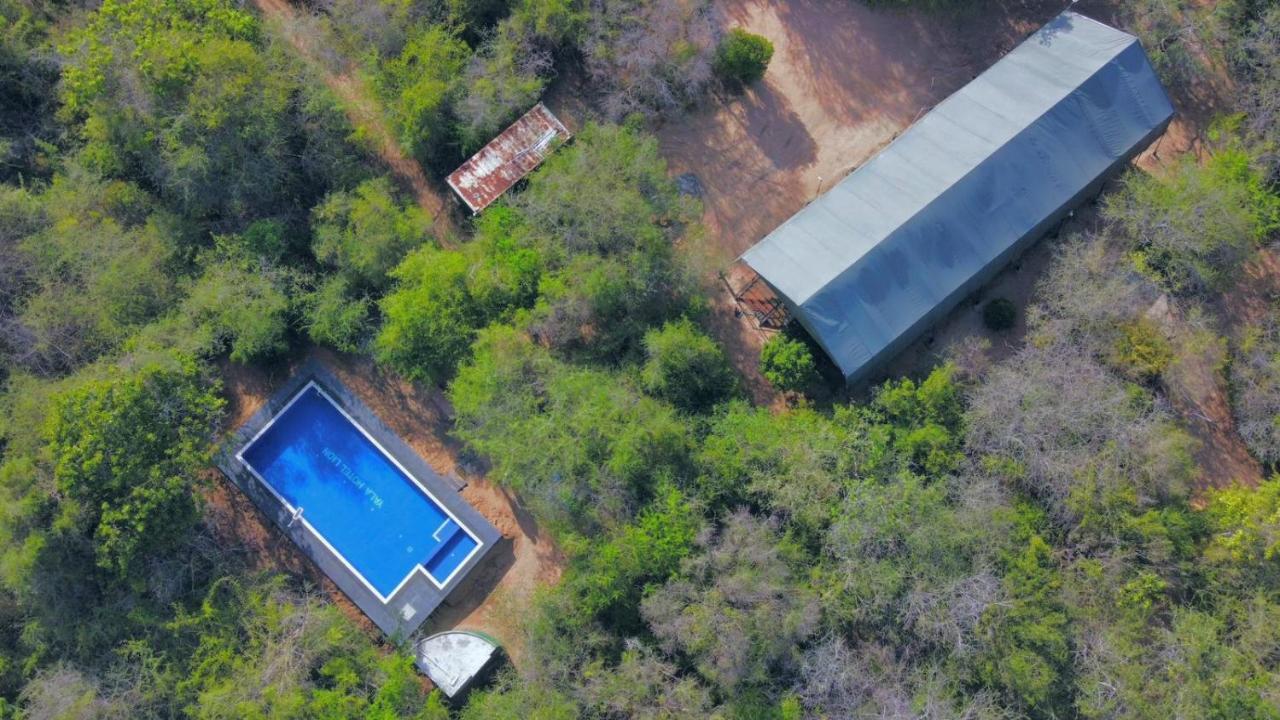 Yala Hotel Lion -Air Conditioned High Luxury Safari Camp Esterno foto