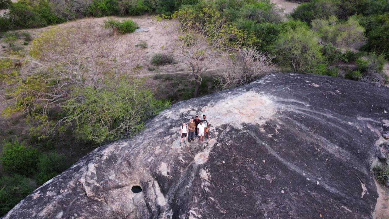 Yala Hotel Lion -Air Conditioned High Luxury Safari Camp Esterno foto