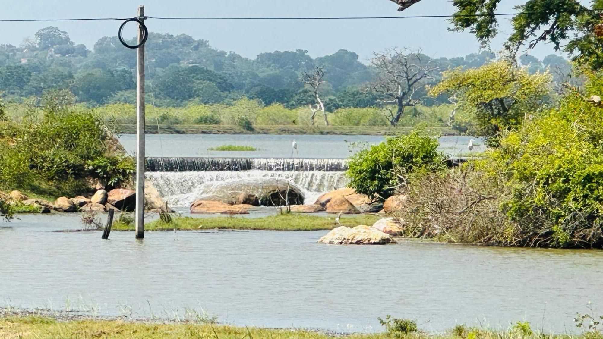 Yala Hotel Lion -Air Conditioned High Luxury Safari Camp Esterno foto