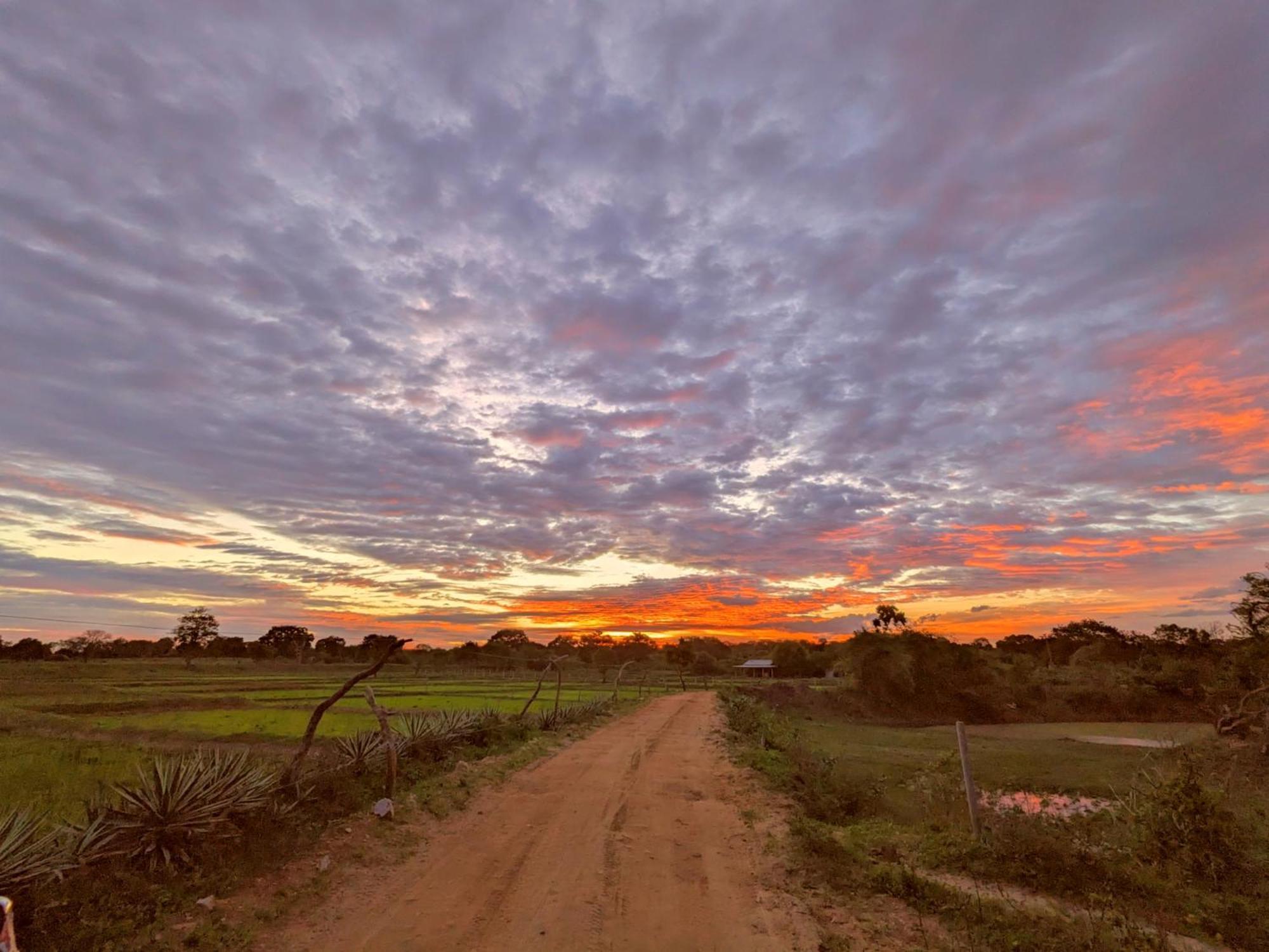 Yala Hotel Lion -Air Conditioned High Luxury Safari Camp Esterno foto