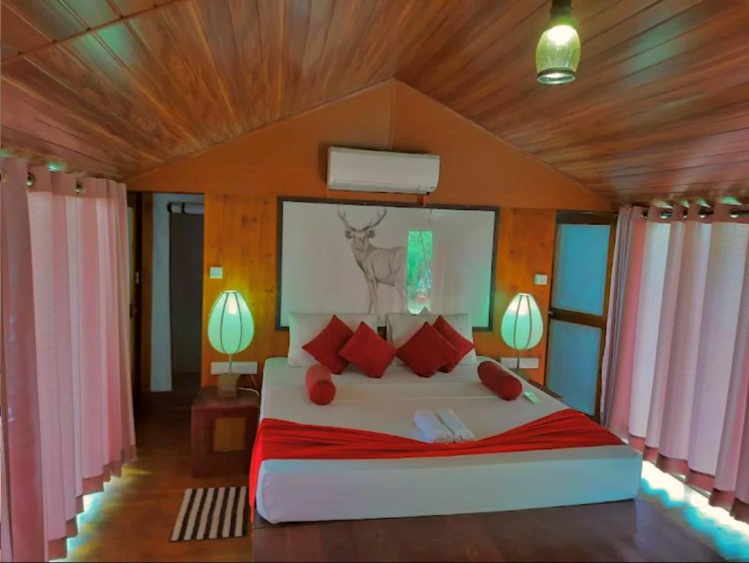 Yala Hotel Lion -Air Conditioned High Luxury Safari Camp Esterno foto